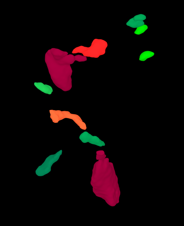 Analysing inclusions in workpieces